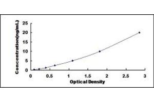 Typical standard curve (GRB10 ELISA 试剂盒)