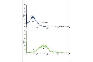 Flow cytometric analysis of K562 cells using ADH5 Antibody (Center)(bottom histogram) compared to a negative control cell (top histogram). (ADH5 抗体  (AA 212-239))
