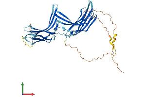 AlphaFold protein structure predicition of Human Recombinant TXNIP Protein, UniprotID Q9H3M7