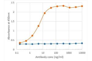 Binding curve of anti-PDL2 antibody TY25 (ABIN7072432) to mouse PDL2-Fc fusion protein ELISA Plate coated with mouse PDL2-Fc fusion protein (Pr00156-1. (Recombinant PDCD1LG2 抗体)