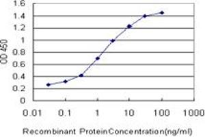 Detection limit for recombinant GST tagged CDK3 is approximately 0. (CDK3 抗体  (AA 206-305))