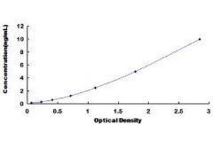 Osteocrin (OSTN) ELISA Kit