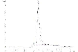 Size-exclusion chromatography-High Pressure Liquid Chromatography (SEC-HPLC) image for Tumor Necrosis Factor (Ligand) Superfamily, Member 11 (TNFSF11) (AA 63-244) protein (His-DYKDDDDK Tag) (ABIN7275517)