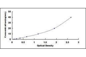 Typical standard curve (Major Basic Protein ELISA 试剂盒)