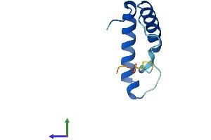 Protein Structure (PS) image for TP53 Regulated Inhibitor of Apoptosis 1 (TRIAP1) (AA 1-76) protein (Fc Tag) (ABIN7561147)