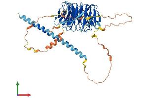 Protein Structure (PS) image for POC1 Centriolar Protein Homolog B (POC1B) (AA 1-478) protein (His tag) (ABIN7550839)