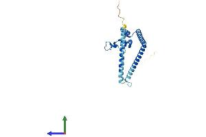 Protein Structure (PS) image for Growth Arrest and DNA-Damage-Inducible, gamma Interacting Protein 1 (GADD45GIP1) (AA 1-222) protein (His tag) (ABIN7547880)