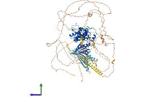 Protein Structure (PS) image for Erythrocyte Membrane Protein Band 4.1 Like 3 (EPB41L3) (AA 1-1087) protein (His tag) (ABIN7553750)