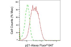Flow cytometric analysis of p21 expression in HT- cells using p21 antibody (ABIN7798222), 1:2,000). (Recombinant p21 抗体)