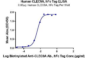 ELISA image for C-Type Lectin Domain Family 9, Member A (CLEC9A) (AA 57-241) protein (Fc Tag) (ABIN7274357)