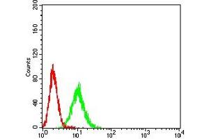 Flow cytometric analysis of K562 cells using CD339 mouse mAb (green) and negative control (red). (JAG1 抗体  (AA 47-212))