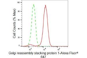 Flow cytometric analysis of Golgi reassembly stacking protein 1 expression in HeLa cells using Golgi reassembly stacking protein 1 antibody (ABIN7798795), 1:2,000). (Recombinant GORASP1 抗体)