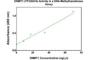 Bioactivity measured with Activity Assay