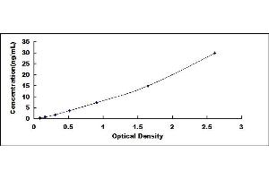 Typical standard curve (HRG ELISA 试剂盒)