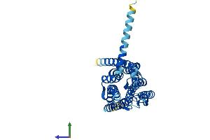 Protein Structure (PS) image for Adenosine A3 Receptor (ADORA3) (AA 1-319) protein (His tag) (ABIN7557722)