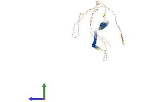 Protein Structure (PS) image for Keratin 6B (KRT6B) (AA 1-562) protein (His tag) (ABIN7556458)