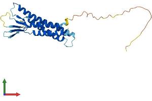 Protein Structure (PS) image for Claudin 15 (CLDN15) (AA 1-228) protein (His tag) (ABIN7553505)