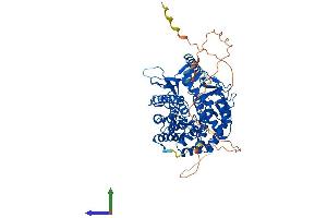 Protein Structure (PS) image for Mannosidase, Alpha, Class 1B, Member 1 (MAN1B1) (AA 1-658) protein (His tag) (ABIN7561918)