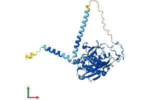 AlphaFold protein structure predicition of Mouse Recombinant B4galt6 Protein, UniprotID Q9WVK5