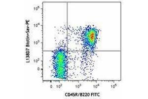 Flow Cytometry (FACS) image for anti-Chemokine (C-X-C Motif) Receptor 5 (CXCR5) antibody (Biotin) (ABIN2660750) (CXCR5 抗体  (Biotin))