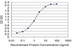 Detection limit for recombinant GST tagged T is approximately 0. (T Brachyury Protein (AA 222-320) 抗体)
