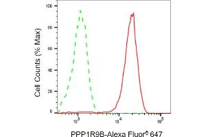 Flow cytometric analysis of PPP1R9B expression in HepG2 cells using PPP1R9B antibody (ABIN7800020), 1:2,000).