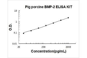 Pig BMP-2 PicoKine ELISA Kit standard curve