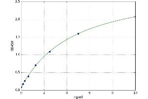 A typical standard curve (ABCA7 ELISA 试剂盒)