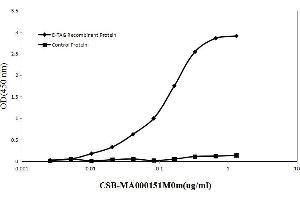 ELISA E-Tag antibody in E-tagged fusion protein and Control protein(no E-tag) Antigen at dilution of 1 μg/mL E-Tag antibody at (0-0. (E Tag 抗体)