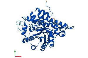 AlphaFold protein structure predicition of Mouse Recombinant Hao1 Protein, UniprotID Q9WU19