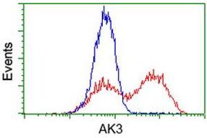 HEK293T cells transfected with either RC204408 overexpress plasmid (Red) or empty vector control plasmid (Blue) were immunostained by anti-AK3 antibody (ABIN2453882), and then analyzed by flow cytometry. (Adenylate Kinase 3 抗体)
