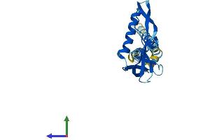 Protein Structure (PS) image for Potassium Large Conductance Calcium-Activated Channel, Subfamily M, beta Member 4 (KCNMB4) (AA 1-210) protein (His tag) (ABIN7548629)