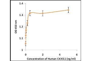 Activity Assay (AcA) image for Chemokine (C-X3-C Motif) Ligand 1 (CX3CL1) (Active) protein (ABIN5509500) (CX3CL1 蛋白)
