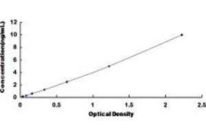 Typical standard curve (DNMT1 ELISA 试剂盒)