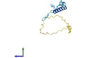 Protein Structure (PS) image for Anaphase Promoting Complex Subunit 15 (ANAPC15) (AA 1-121) protein (His tag) (ABIN7552101)