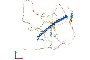 AlphaFold protein structure predicition of Human Recombinant NFIL3 Protein, UniprotID Q16649
