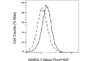 Flow cytometric analysis of ASRGL1 expression in HeLa cells using ASRGL1 antibody (ABIN7797660), 1:2,000). (ASRGL1 抗体)
