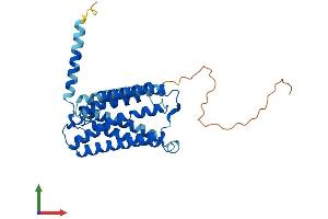 Protein Structure (PS) image for ELOVL Fatty Acid Elongase 4 (ELOVL4) (AA 1-312) protein (His tag) (ABIN7561395)