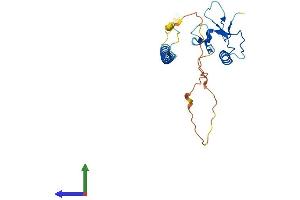 Protein Structure (PS) image for THAP Domain Containing, Apoptosis Associated Protein 3 (THAP3) (AA 1-218) protein (His tag) (ABIN7558691)