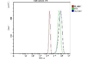 Flow Cytometry analysis of U20S cells using anti-SLC3A1 antibody (ABIN7602354). (SLC3A1 抗体  (AA 70-665))