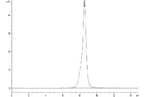 The purity of Cynomolgus CD19 is greater than 95 % as determined by SEC-HPLC. (CD19 Protein (AA 21-291) (His tag))
