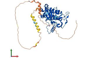 Protein Structure (PS) image for Casein Kinase 1, epsilon (CSNK1E) (AA 1-416) protein (His tag) (ABIN7548806)
