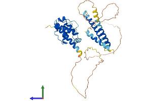 Protein Structure (PS) image for Centrosomal Protein 44kDa (CEP44) (AA 1-386) protein (His tag) (ABIN7557460)