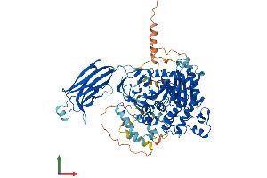 Protein Structure (PS) image for Phospholipase A2, Group IVA (Cytosolic, Calcium-Dependent) (PLA2G4A) (AA 1-749) protein (His tag) (ABIN7550545)
