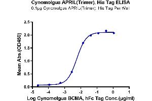 Immobilized Cynomolgus APRIL(Trimer), His Tag at 1 μg/mL (100 μL/well) on the plate. (TNFSF13 Protein (AA 112-250, Trimer) (His-Avi-DYKDDDDK Tag))