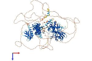 PTPN21 Protein (AA 1-1174) (His tag)