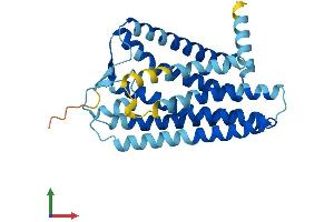 Protein Structure (PS) image for Olfactory Receptor, Family 2, Subfamily M, Member 4 (OR2M4) (AA 1-311) protein (His tag) (ABIN7550367)