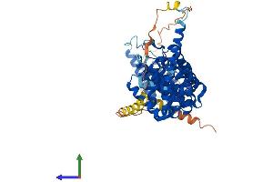 Protein Structure (PS) image for Protein Phosphatase 2, Regulatory Subunit B', gamma (PPP2R5C) (AA 1-524) protein (His tag) (ABIN7557646)