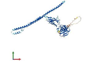 AlphaFold protein structure predicition of Human Recombinant FSD1 Protein, UniprotID Q9BTV5