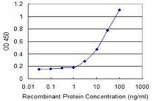 Detection limit for recombinant GST tagged AKT1 is 1 ng/ml as a capture antibody. (AKT1 抗体  (AA 1-480))